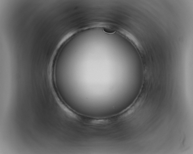 X0000113761135200910071126