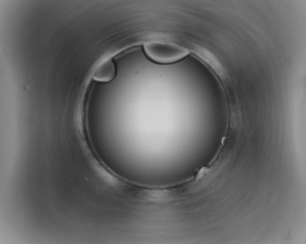 X0000113761136200910071126