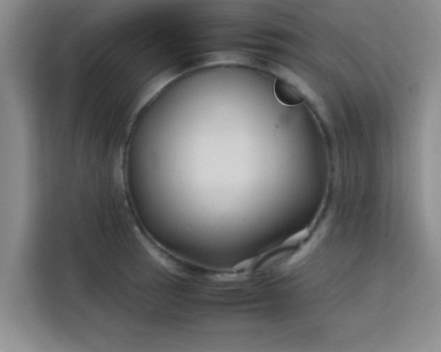 X0000113761137200910071126