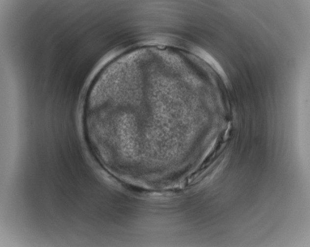 X0000113761138200910071126