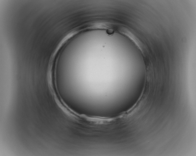 X0000113761139200910071126
