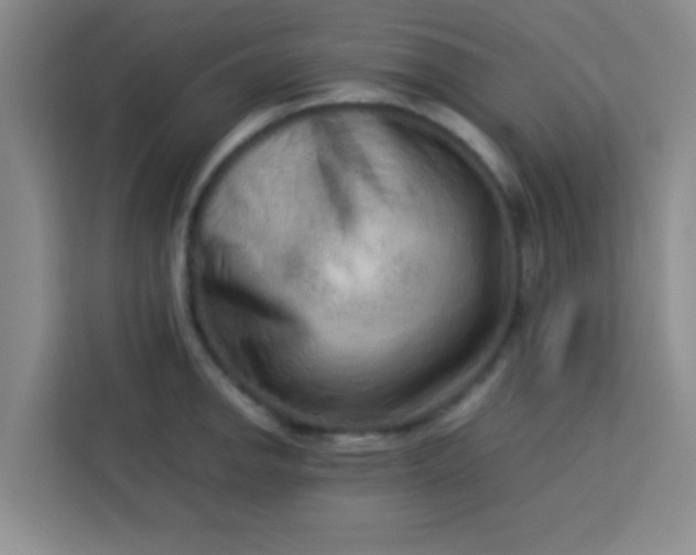 X0000113761142200910071126
