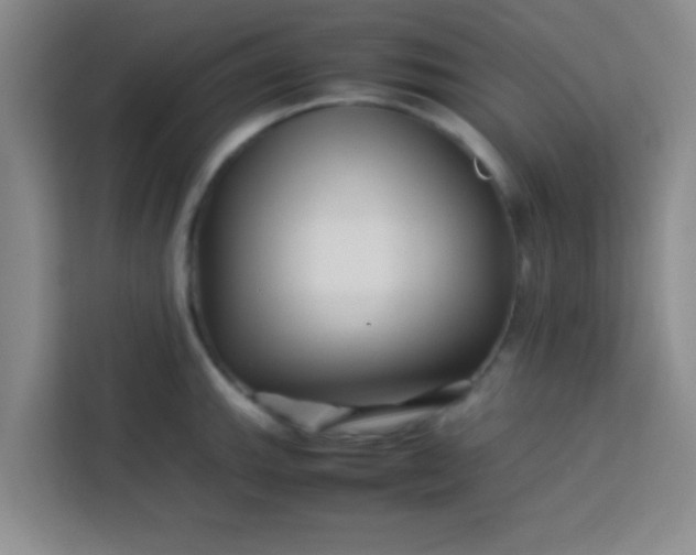 X0000113761143200910071126