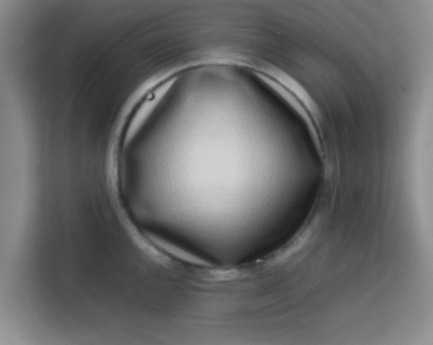 X0000113761144200910071126