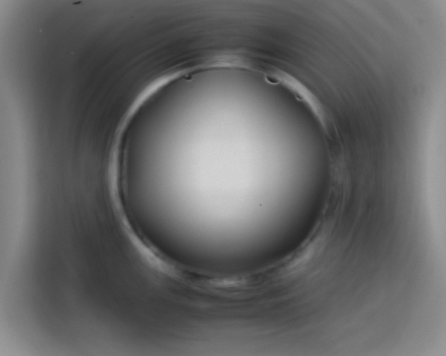 X0000113761147200910071126