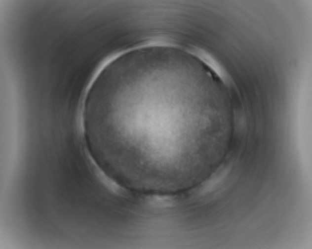 X0000113761148200910071126