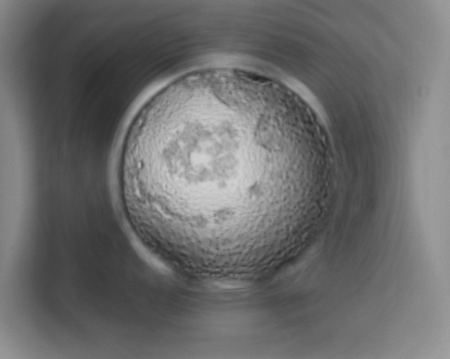 X0000113761152200910071126