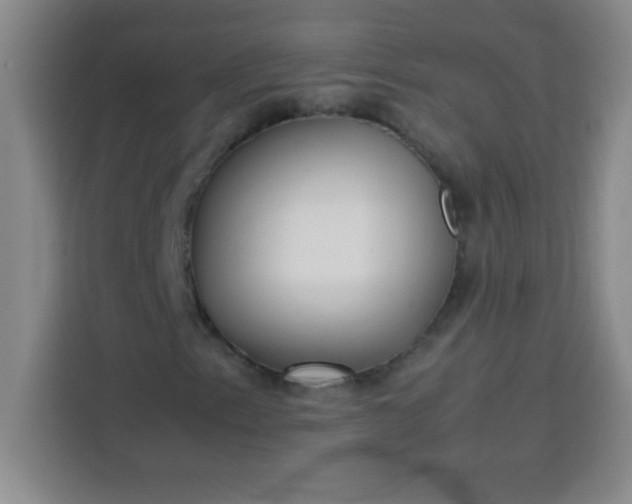 X0000113761153200910071126
