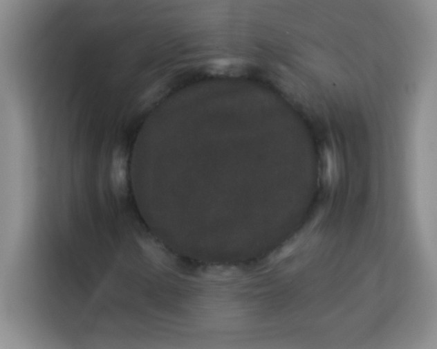 X0000113761154200910071126