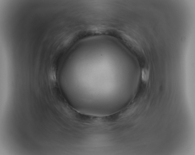 X0000113761155200910071126