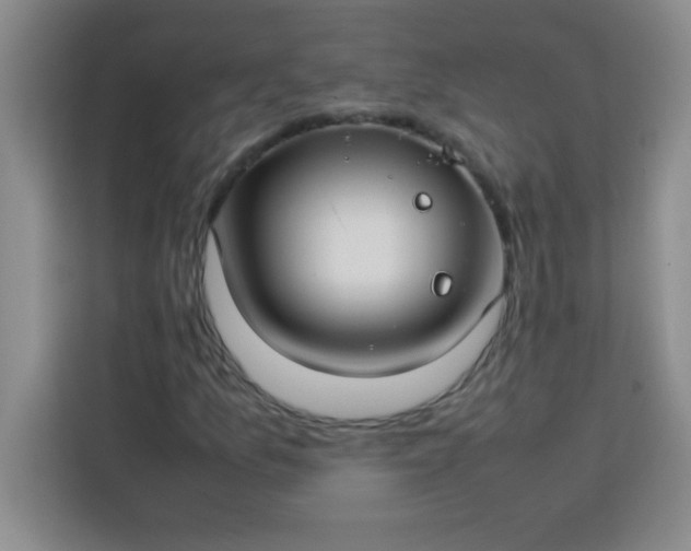 X0000113761157200910071126