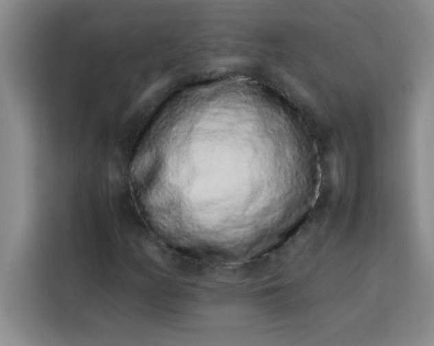 X0000113761158200910071126
