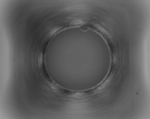 X0000113761161200910071126