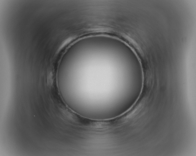 X0000113761163200910071126