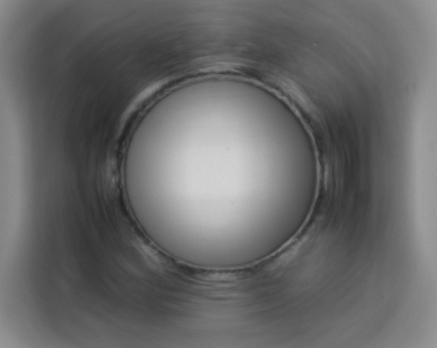 X0000113761164200910071126