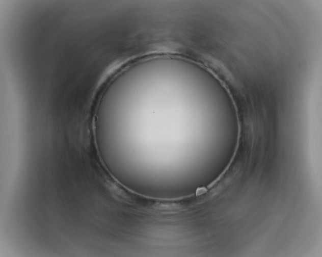 X0000113761168200910071126