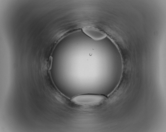 X0000113761169200910071126