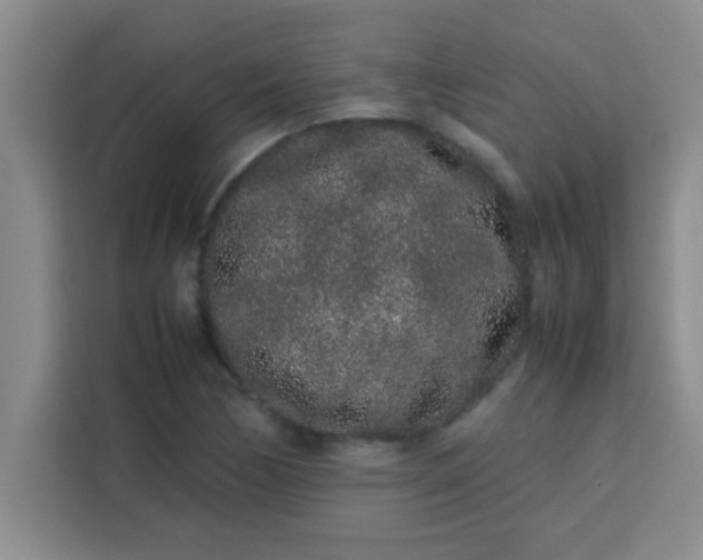 X0000113761170200910071126
