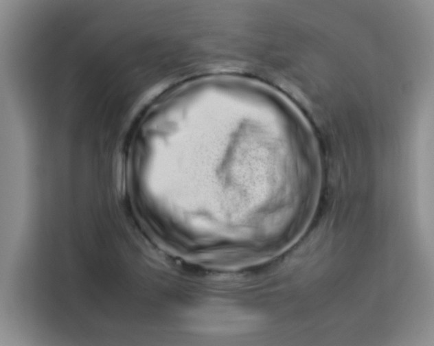 X0000113761171200910071126