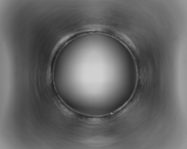 X0000113761172200910071126