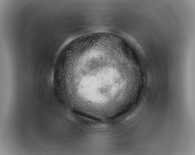 X0000113761174200910071125