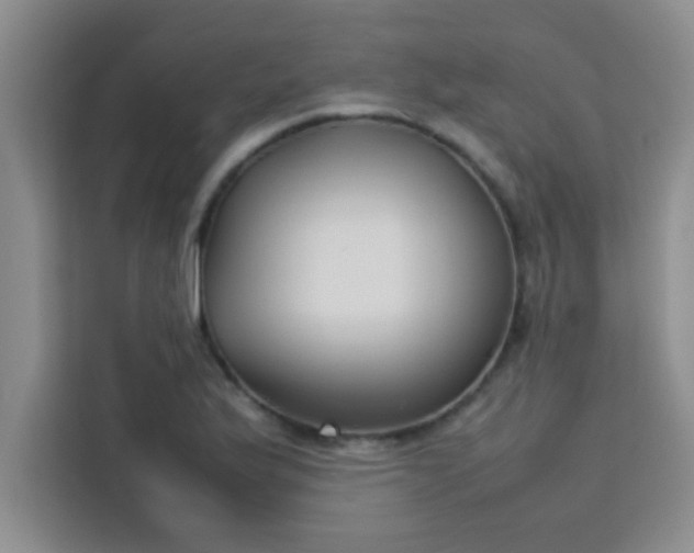 X0000113761175200910071125