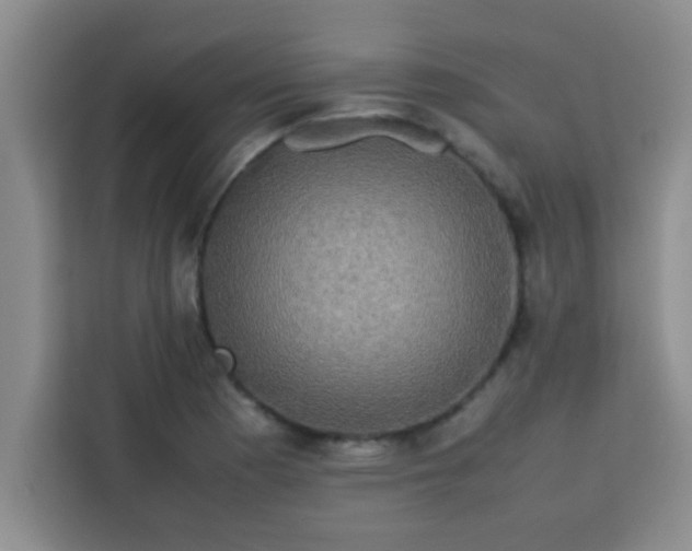 X0000113761177200910071125