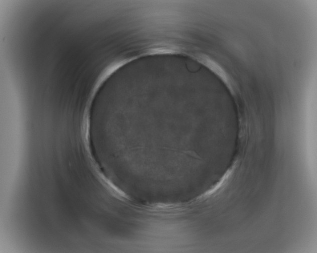 X0000113761179200910071125