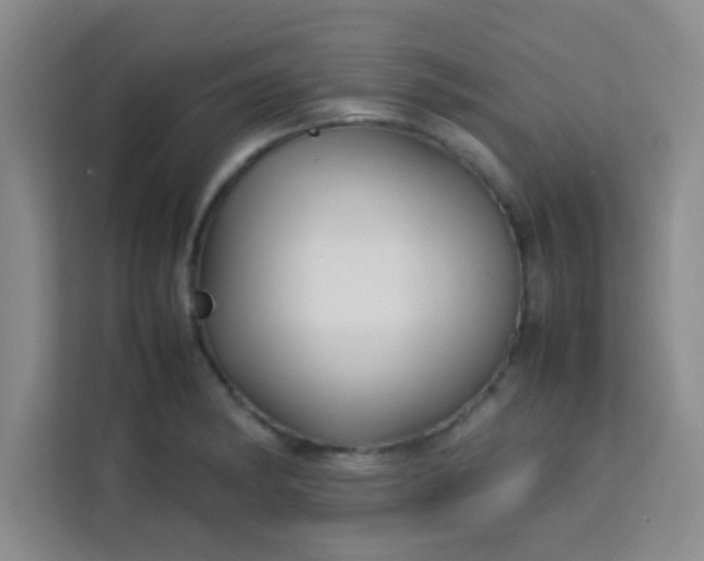 X0000113761182200910071125