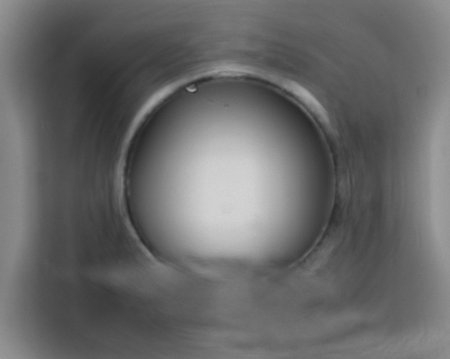 X0000113761183200910071125