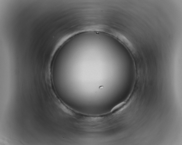 X0000113761184200910071125