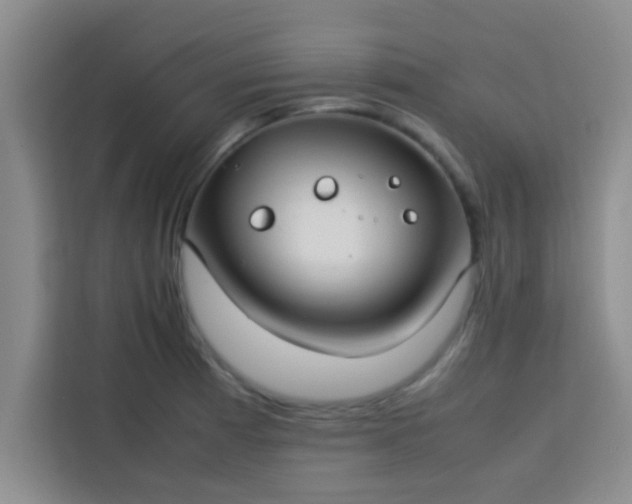 X0000113761185200910071125
