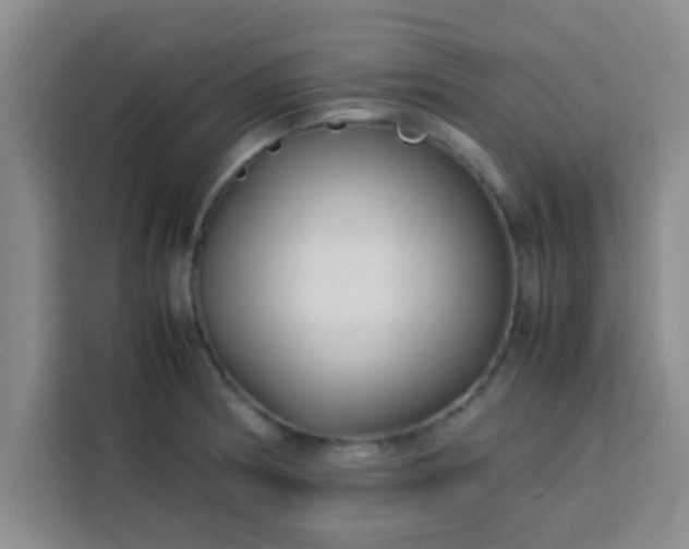 X0000113761186200910071125