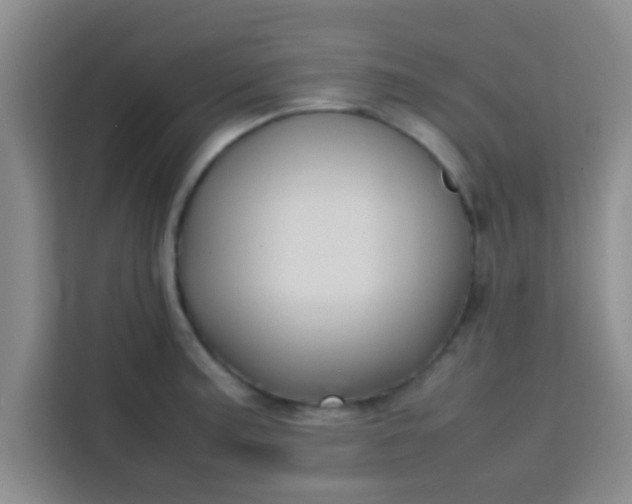 X0000113761187200910071125