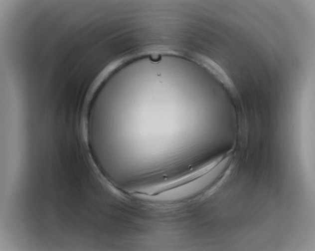 X0000113761188200910071125