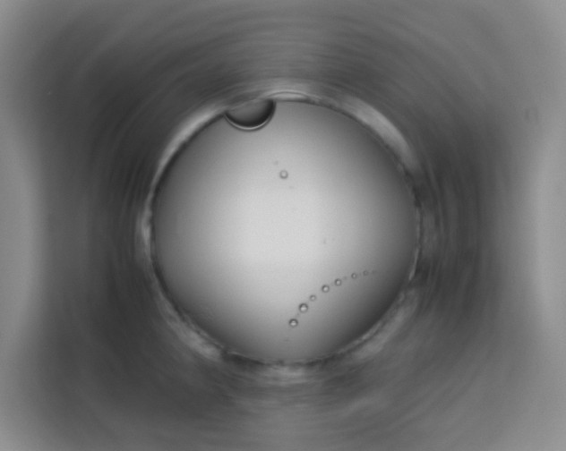 X0000113761190200910071125