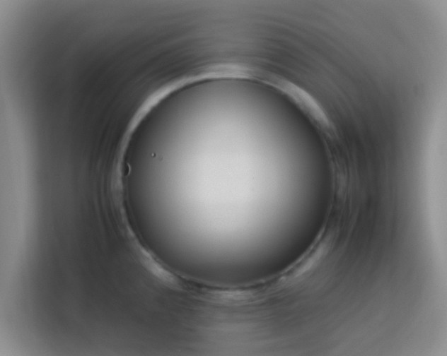 X0000113761192200910071125