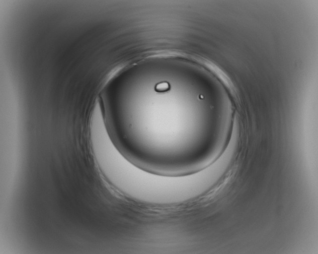 X0000113761193200910071125