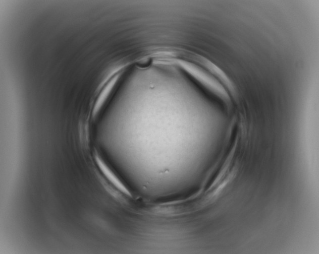 X0000113761194200910071125