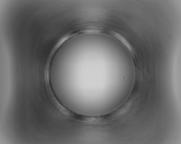 X0000113761195200910071125