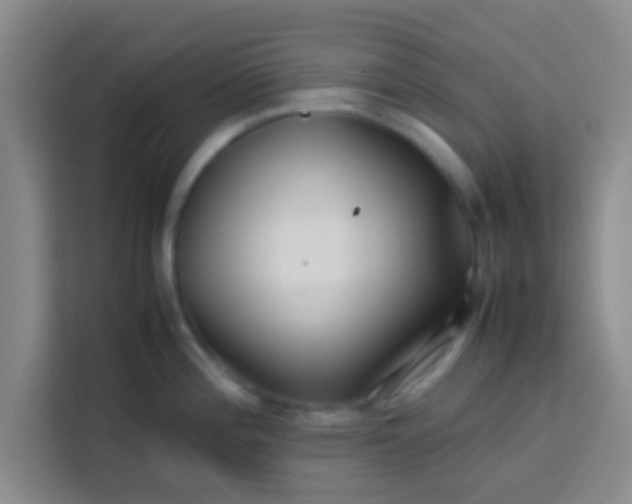 X0000113761196200910071125