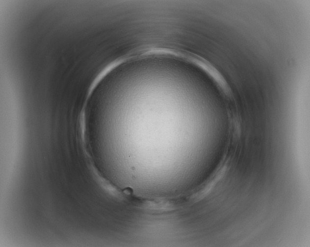 X0000113761198200910071125