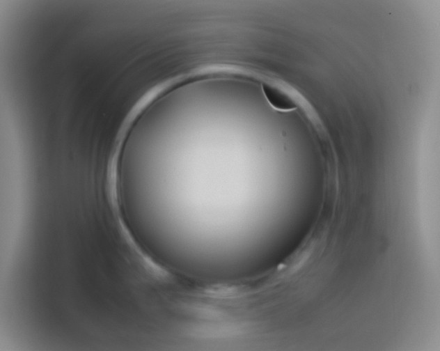 X0000113761199200910071125