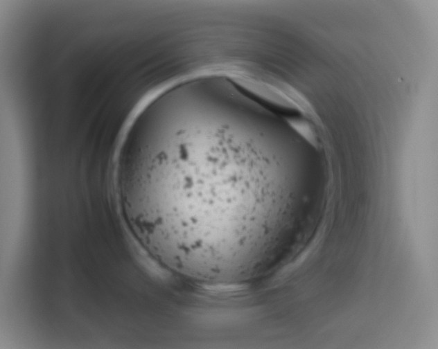 X0000113761200200910071125
