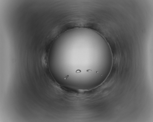 X0000113761202200910071125