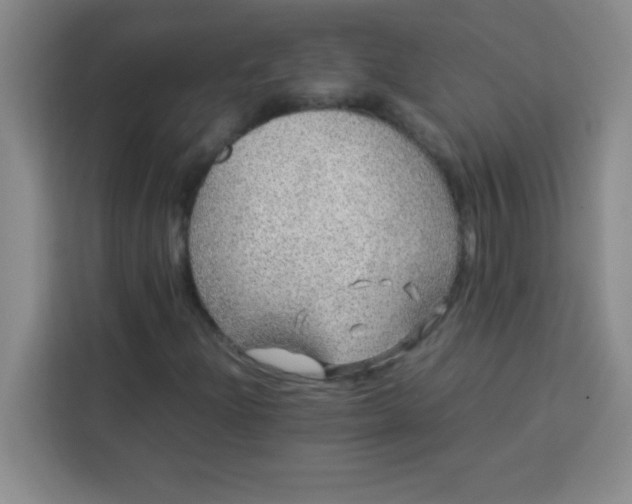 X0000113761204200910071125