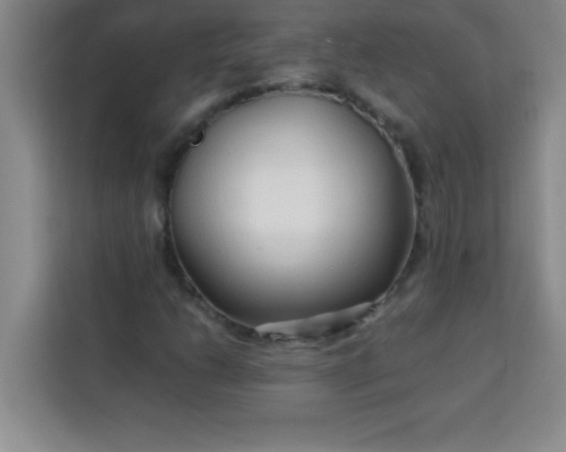 X0000113761206200910071125
