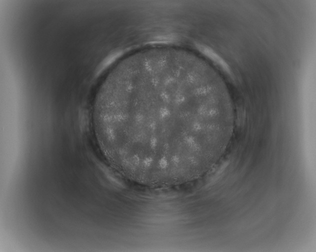 X0000113761208200910071125
