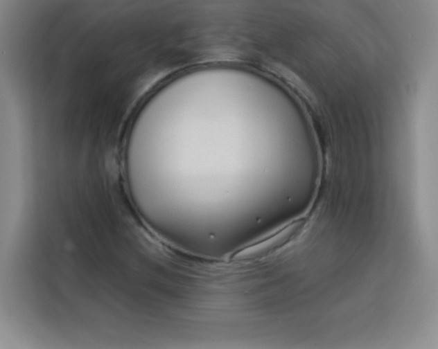 X0000113761212200910071125
