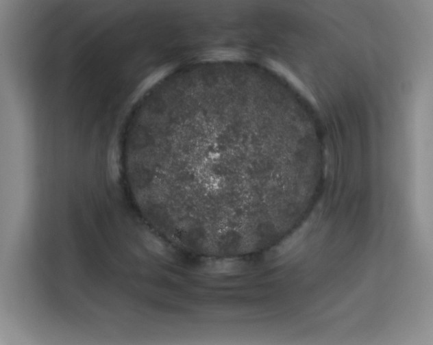 X0000113761213200910071125